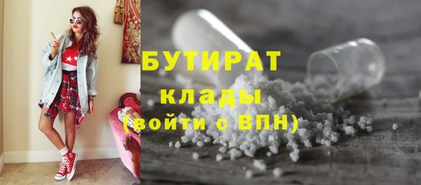 дмт Ельня