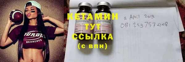 дмт Ельня