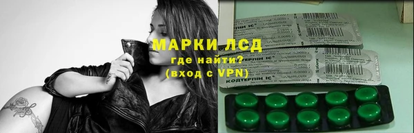дмт Ельня