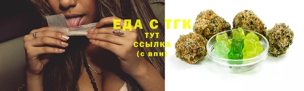 дмт Ельня