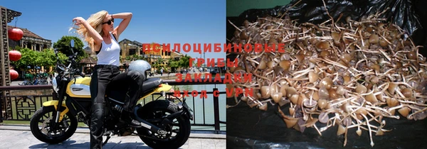 дмт Ельня
