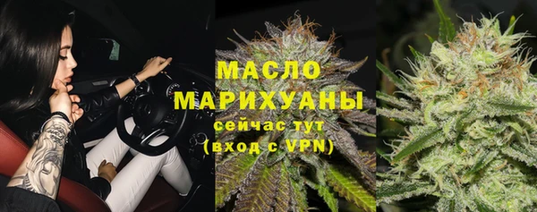 дмт Дмитров