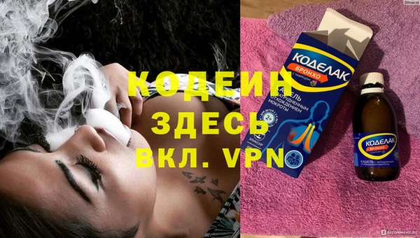 дмт Ельня