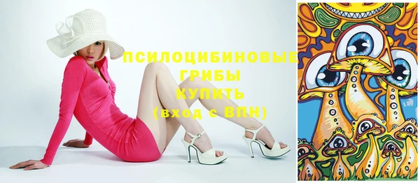 тгк Елизово