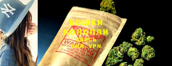дмт Ельня