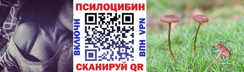 Псилоцибиновые грибы мухоморы Октябрьский